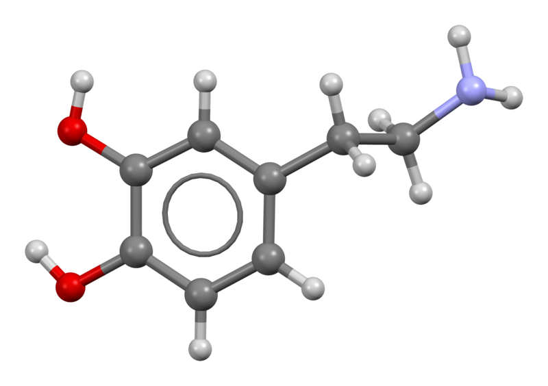 Dopamine - Wikipedia