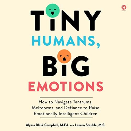 Tiny Humans, Big Emotions: How to Navigate Tantrums, Meltdowns, and ...