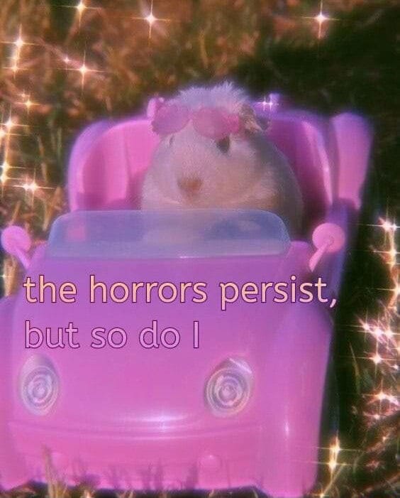 picture of a hamster in a barbie car with tiny pink sunglasses, captioned "the horrors persist, but so do I"