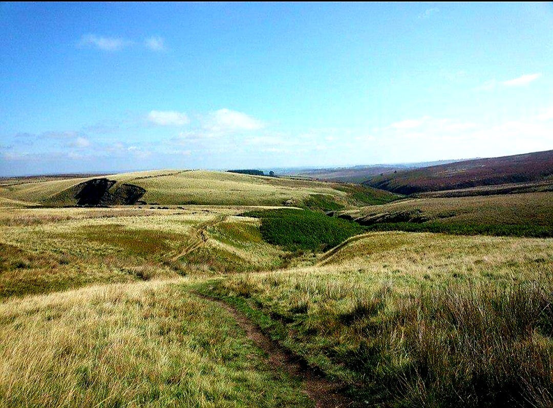 The Haworth moor in Yorkshire England--golden and green rolling hills and a bright blue sky with wispy clouds. 