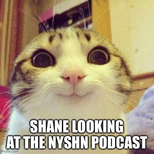 an image of a cat with large eyes, looking excitedly at the viewer with a small smile. labelled "Shane looking at the NYSHN Podcast
