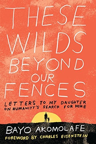 Cover of These Wilds Beyond Our Fences, written by Bayo Akomolafe, illustrating an adult and child standing along the horizon in the distance, walking into the sunset