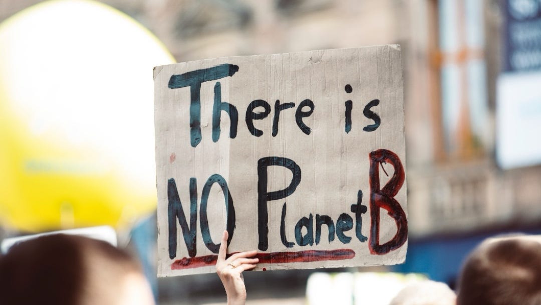 a hand holds up a cardboard sign during a demonstration saying: there is no planet B