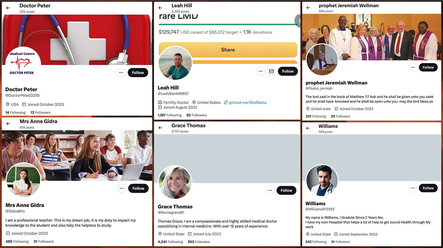 screenshots of the profiles of crowdfunding spam accounts masquerading as teachers and doctors