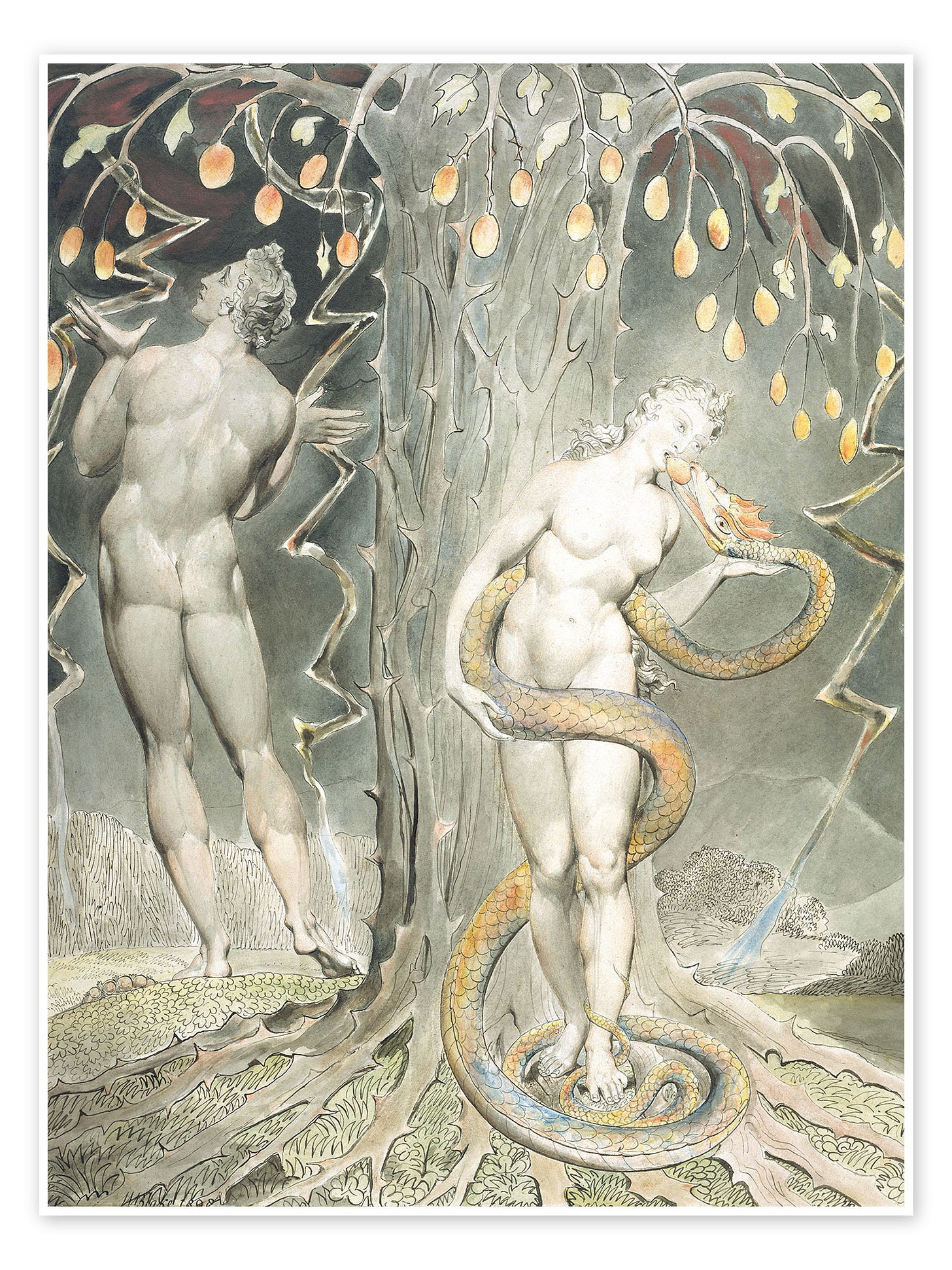 Adam and Eve print by William Blake | Posterlounge