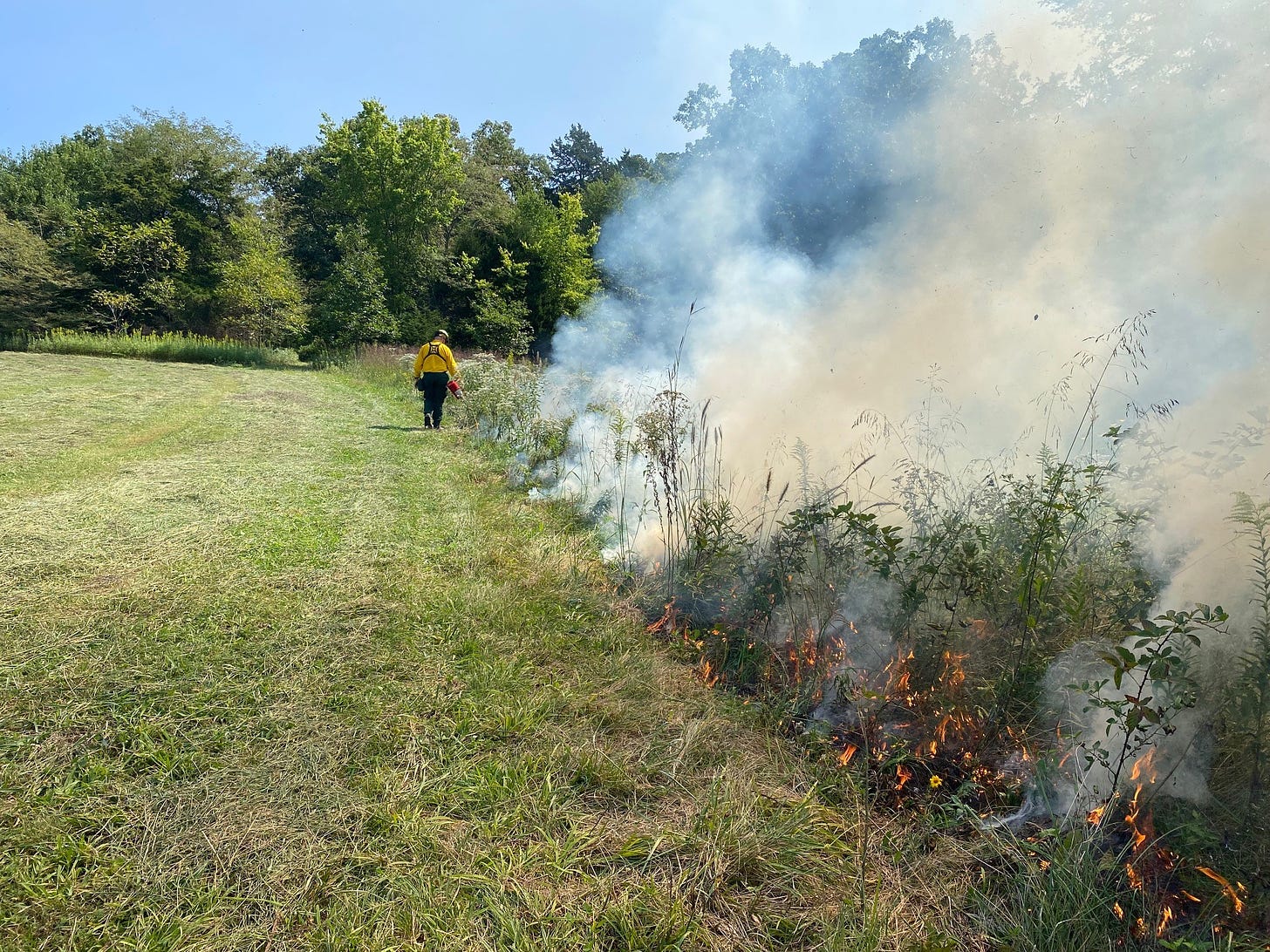 May be an image of 1 person, fire and grass