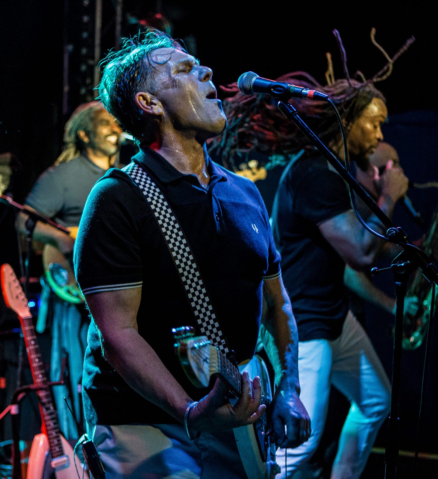 Dave Wakeling performing music