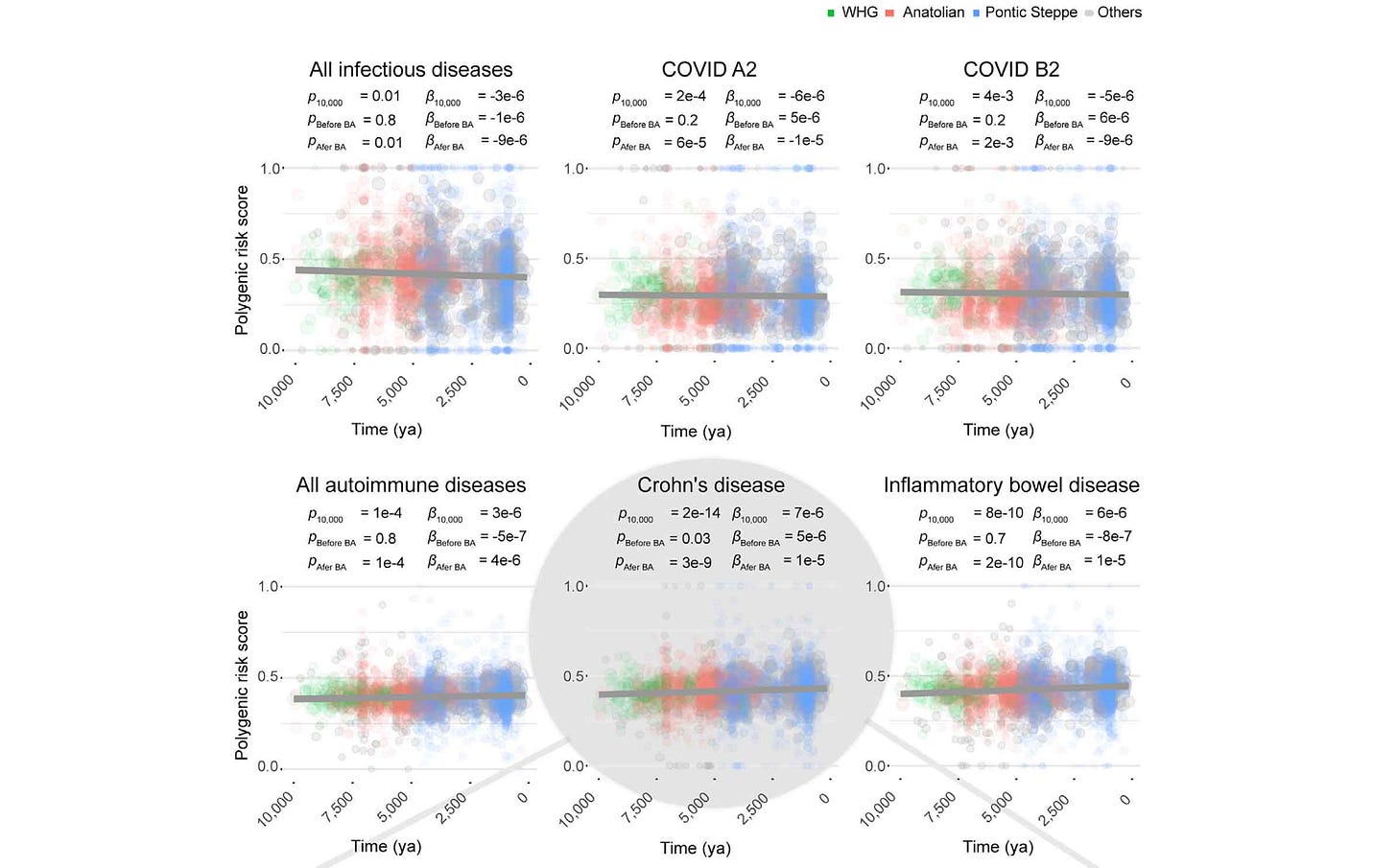 Six graphs showing polygenic risk score of ancient individuals across the last 10,000 years. From top left, the graphs show all infectious diseases, COVID A2, COVID B2, all autoimmune diseases, Crohn's disease, and inflammatory bowel disease. Six graphs showing polygenic risk score of ancient individuals across the last 10,000 years. From top left, the graphs show all infectious diseases, COVID A2, COVID B2, all autoimmune diseases, Crohn's disease, and inflammatory bowel disease.