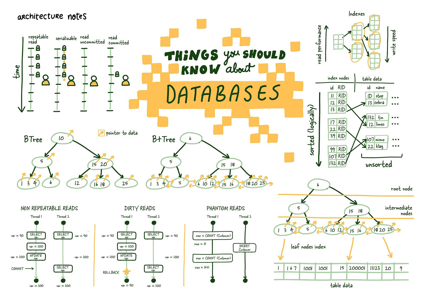 Relational Databases Explained Infographic