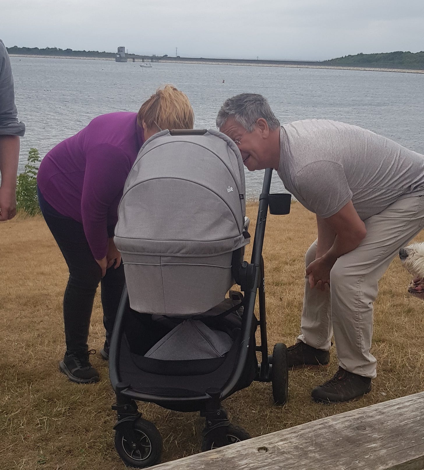 Two adults bent over with their heads looking into a baby's pram
