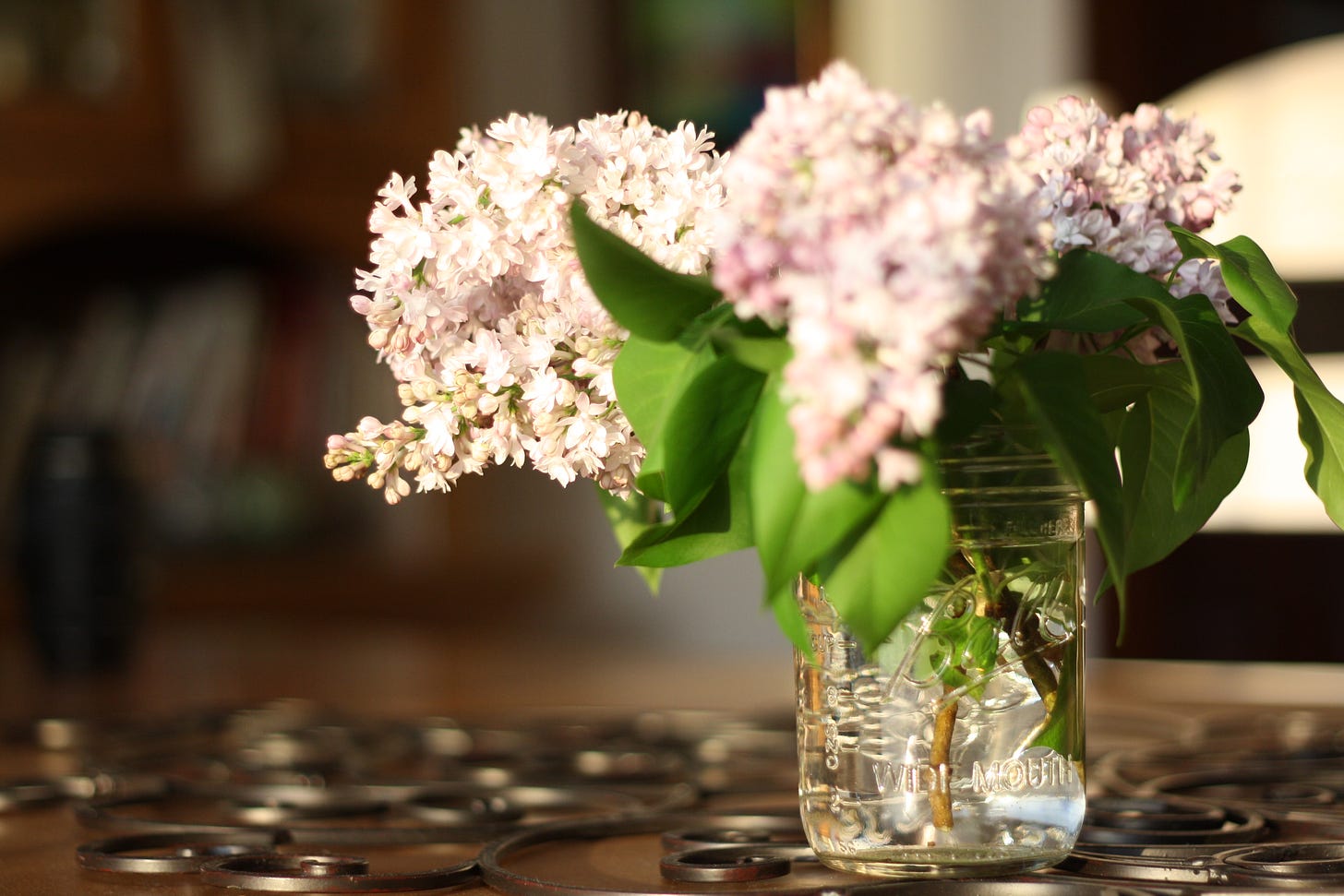 a bouquet of lilac blossoms in a mason jar