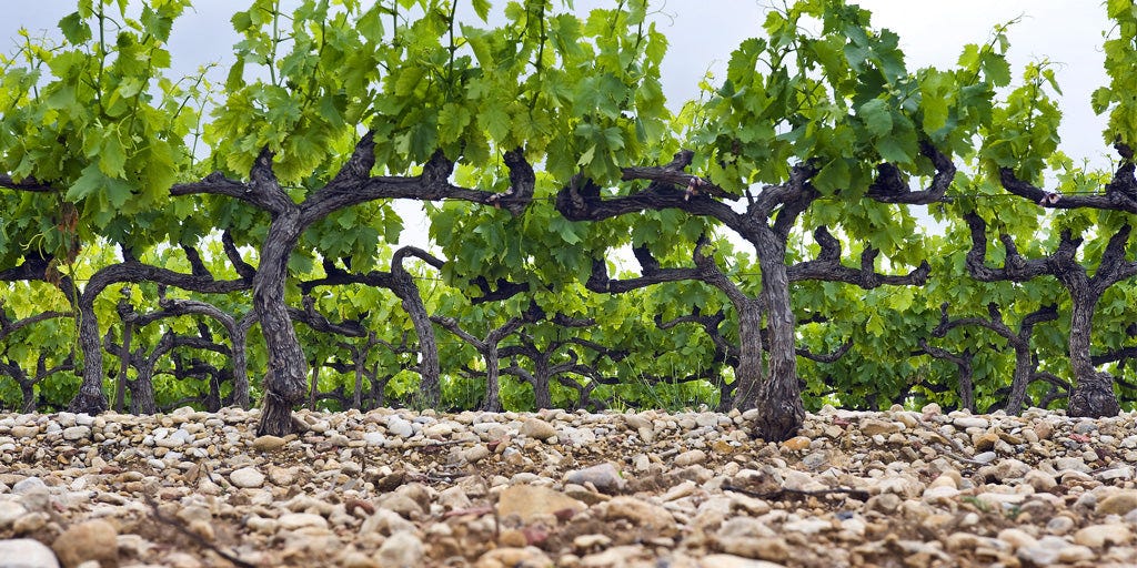 Terroir Tales: Bordeaux – WineShop At Home