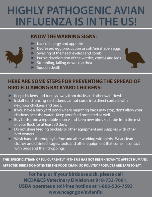 Avian Influenza: Know the Facts | Veterinary Medicine News