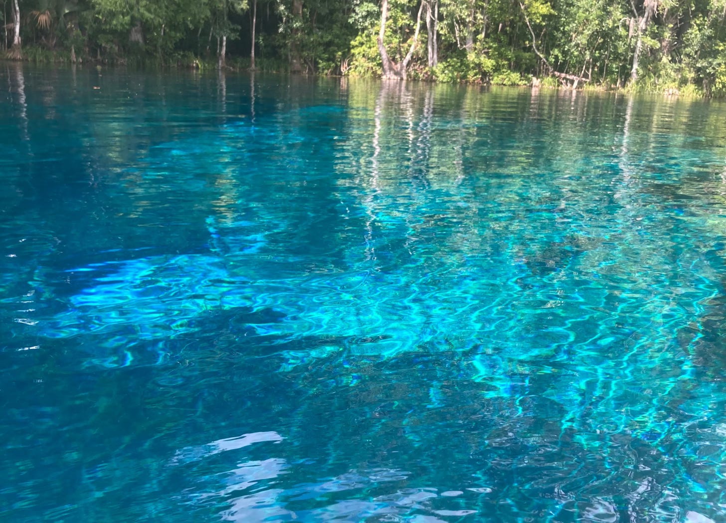 A photo of the clear, vibrant, shimmering blue of spring water in the Silver River. 