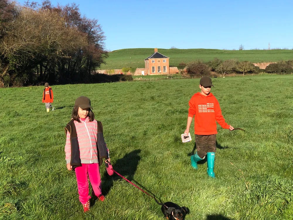Three young children walking a dog in the countryside.