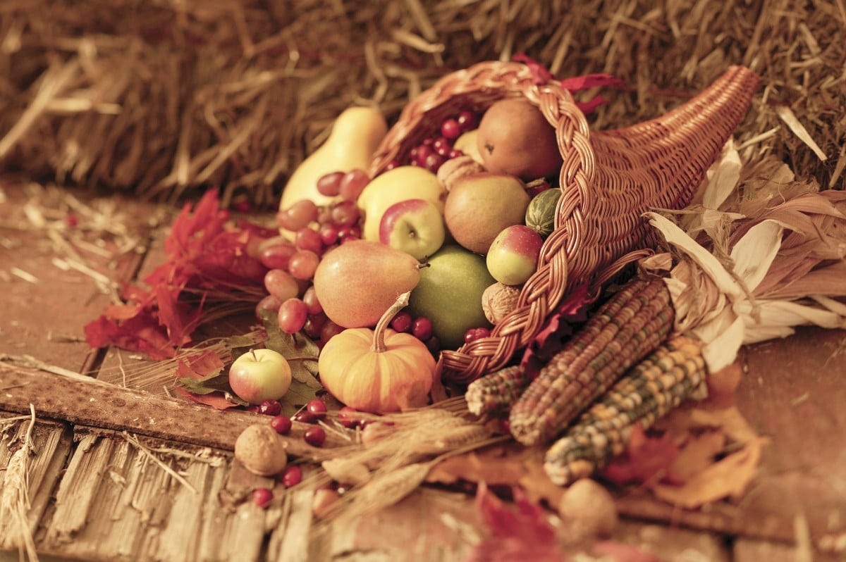 Thanksgiving Harvest | What to Plant Next Year for Your Thanksgiving Table  - New England