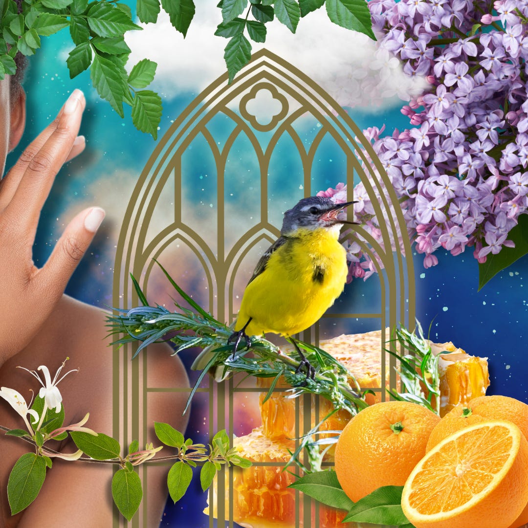 I wrote you a poem by Melissa Reed Dear Kindred Spirit