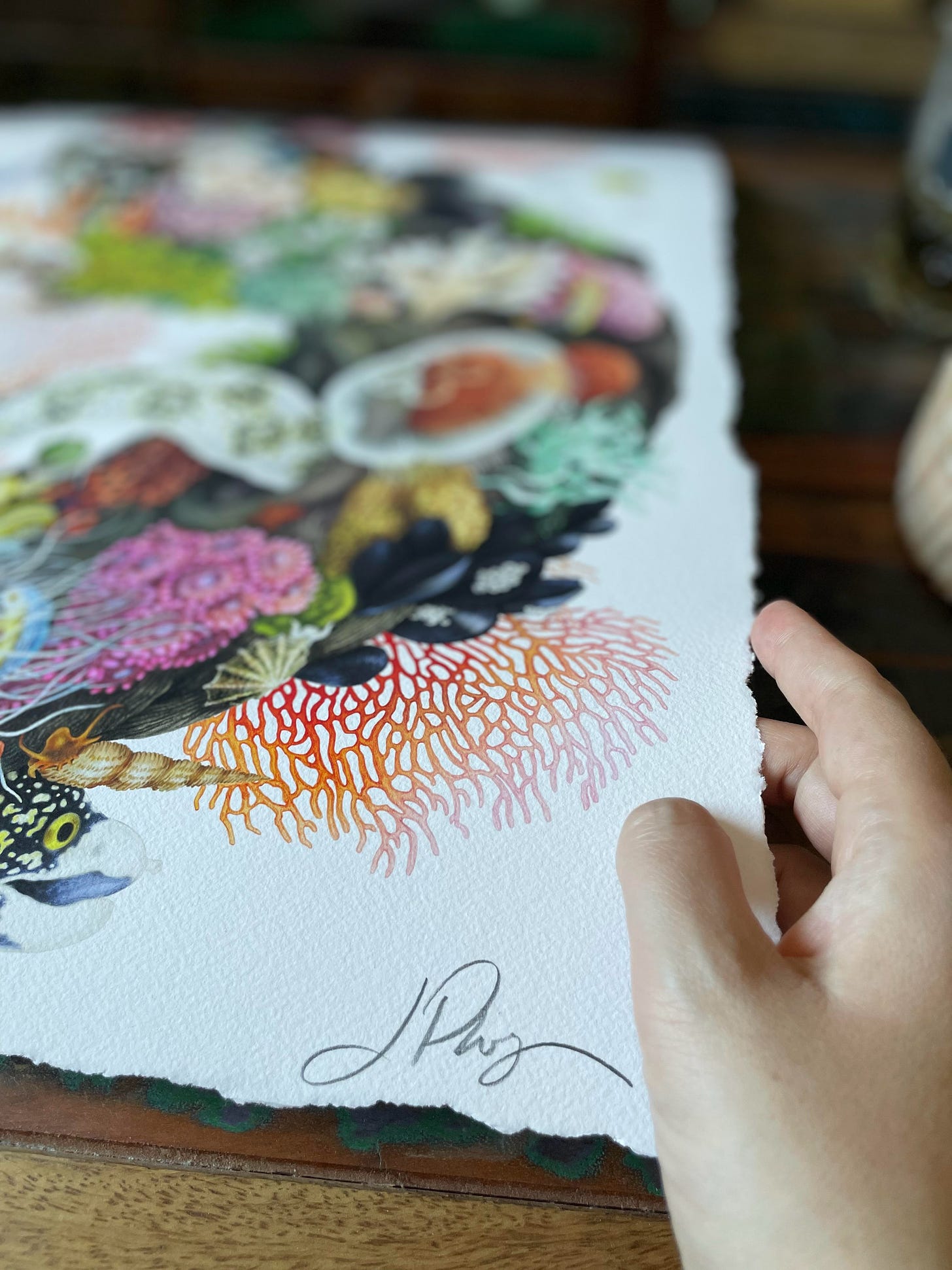 Lidija's hand lifts up the corner of a paper illustration she created with her signature in the bottom corner