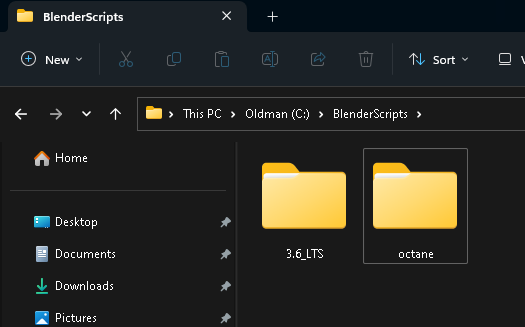 The BlenderScripts folder contains the add-ons installed by me, staying apart from the add-ons that are shipped with Blender 3D.