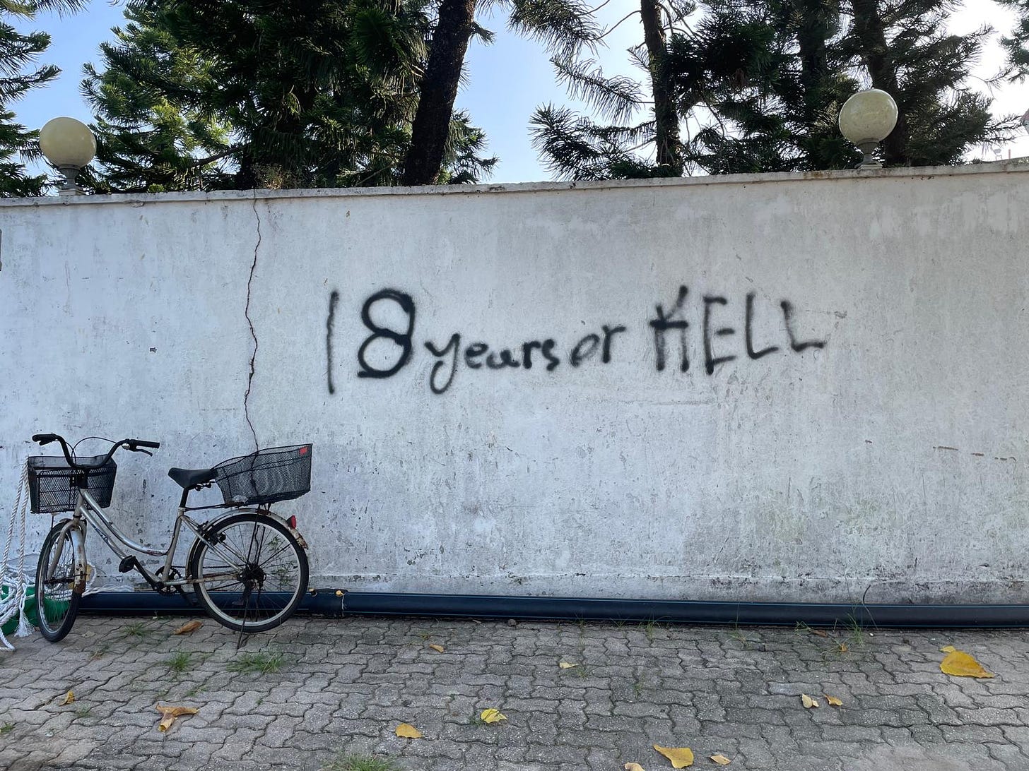 Photo of a wall with graffiti "18 years of Hell"