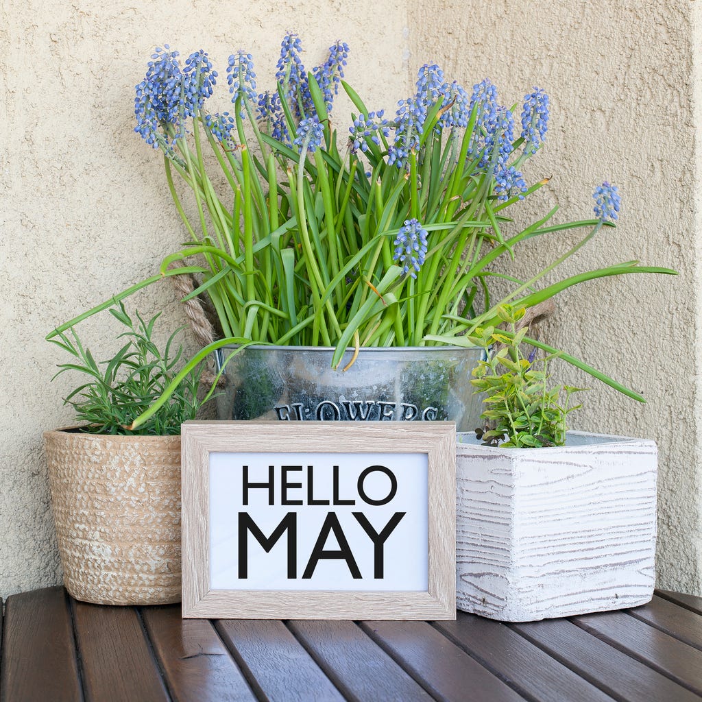 Hello May note with spring flowers and plants.