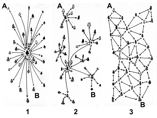 network