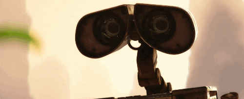 wall-e seeing a plant for the first time. Image from Giphy