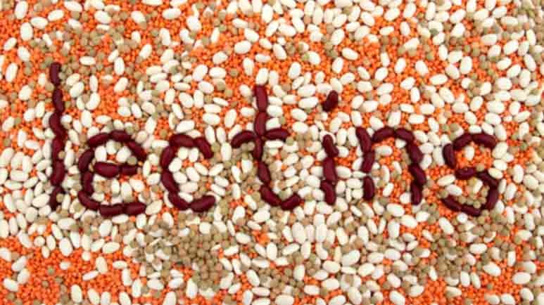 reduce lectins in your diet