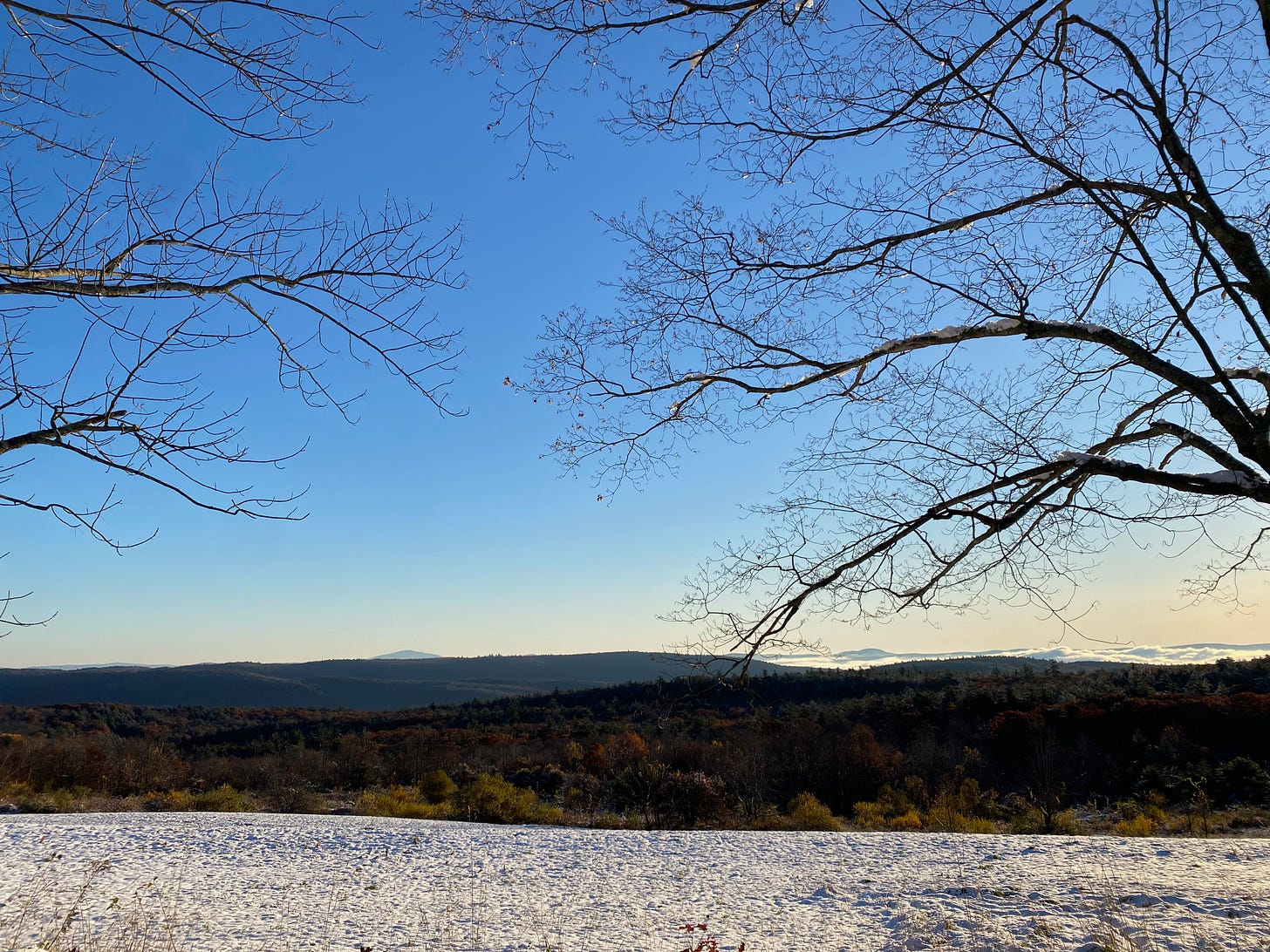 A sunlit, snow-covered field in front of a horizon of distant mountains and wisps of clouds. Several bare branches frame the image. 