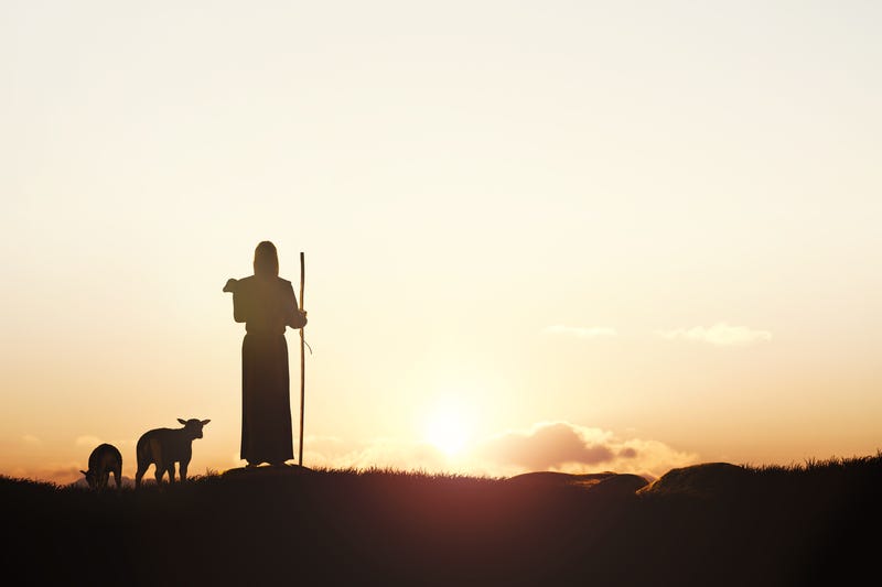 a photo of a shepherd watching over his sheep