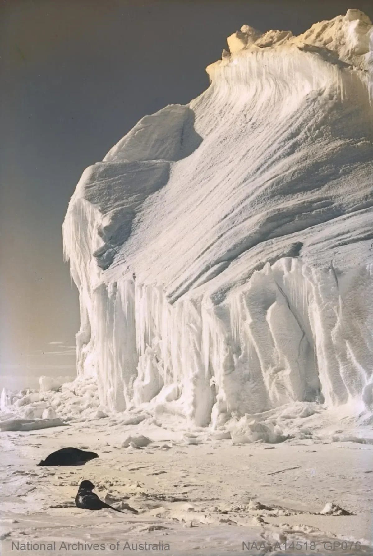 fotografías de la Antártida hace 100 años