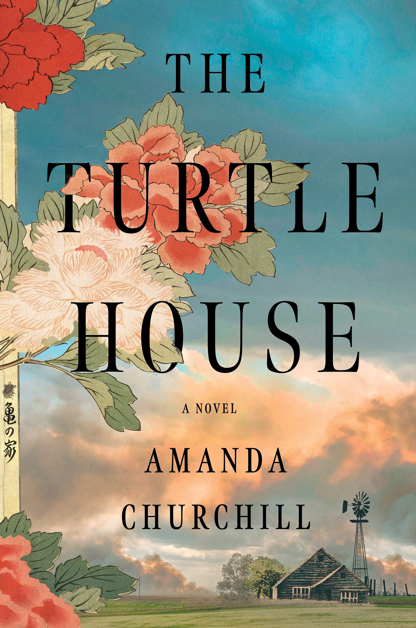 cover of Amanda Churchill's THE TURTLE HOUSE