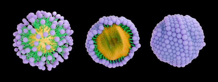 three views of a round conglomeration of purple-headed, green-tailed molecules encapsulating a yellow core three views of a round conglomeration of purple-headed, green-tailed molecules encapsulating a yellow core