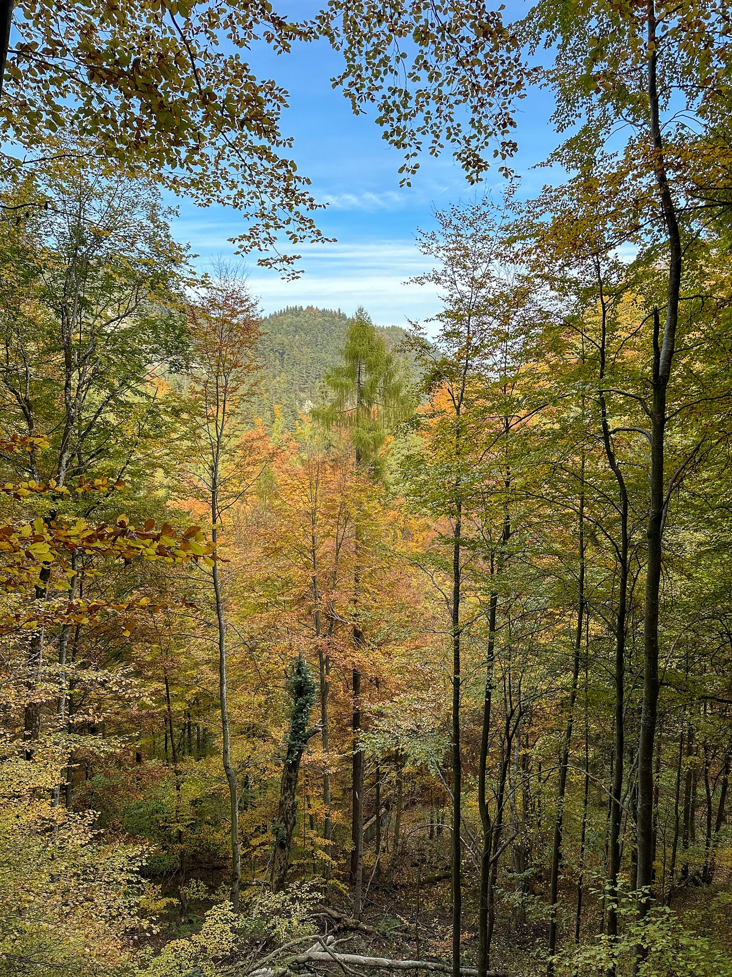 View from the “Old Road” to Poiana Brasov