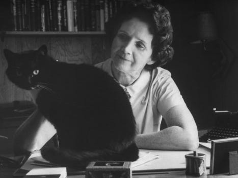 Moppet and Rachel Carson | Rachel carson, Pets cats, Cat people