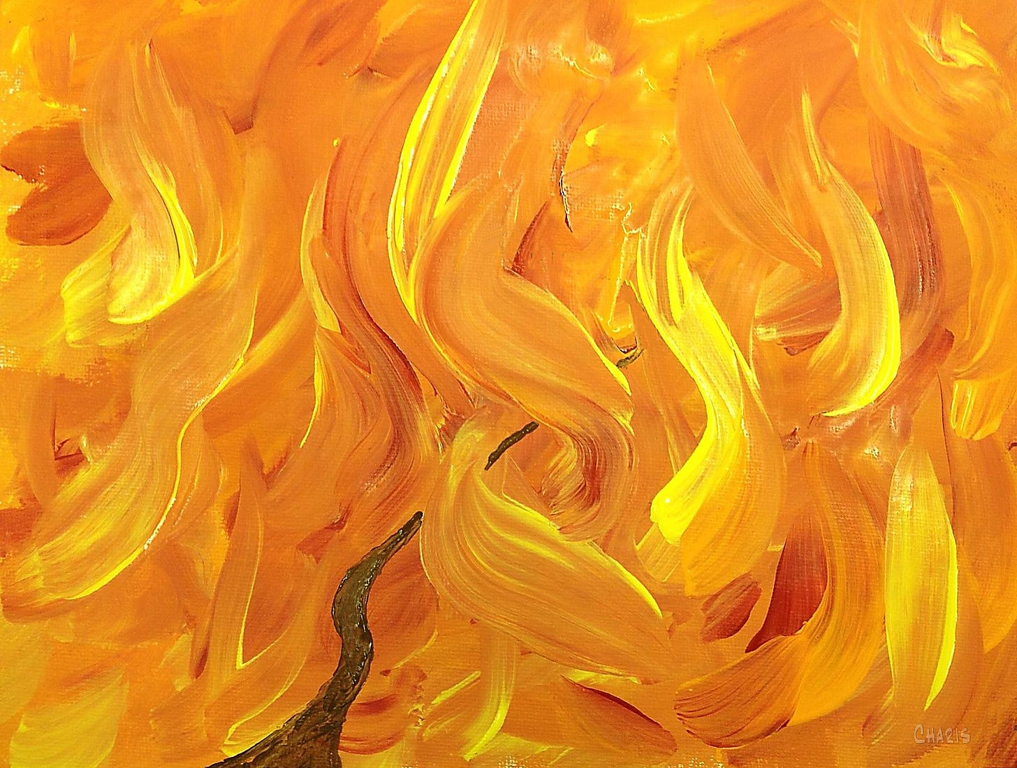 Holy Fire – Charis: Subject to Change