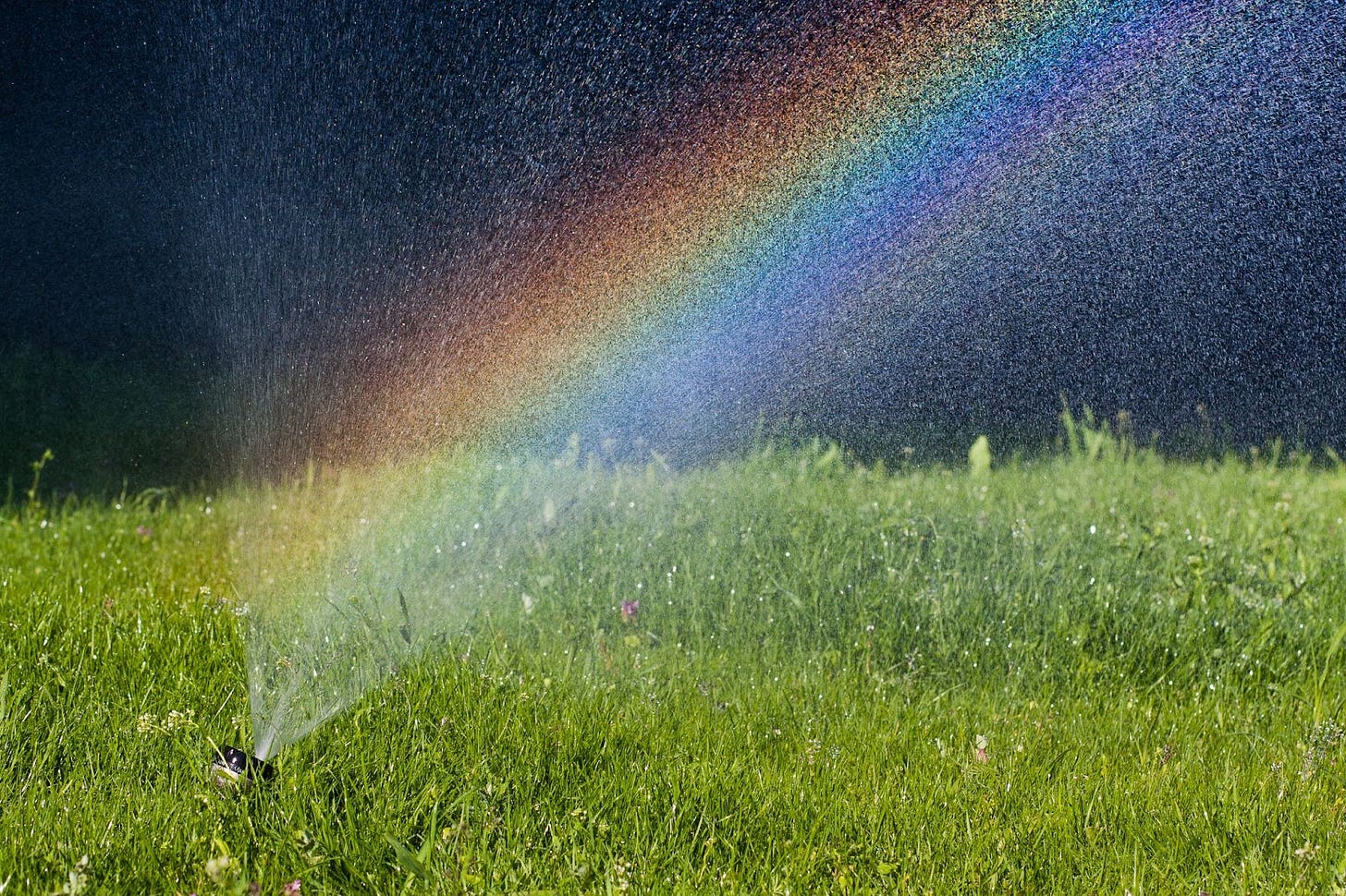 A sprinkler spraying a lawn against a dark sky; there is a rainbow visible in the water spray.