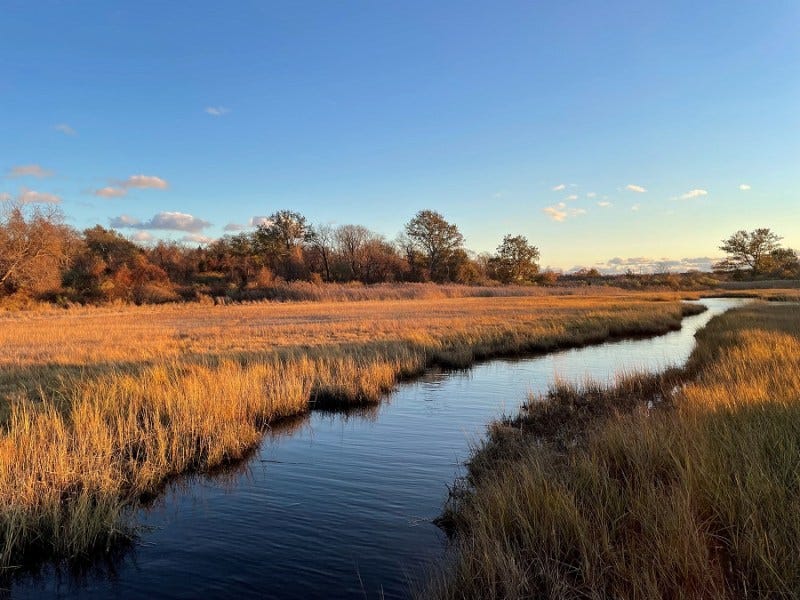 Aquidneck Land Trust conserves 4.91-acre coastal property in Portsmouth