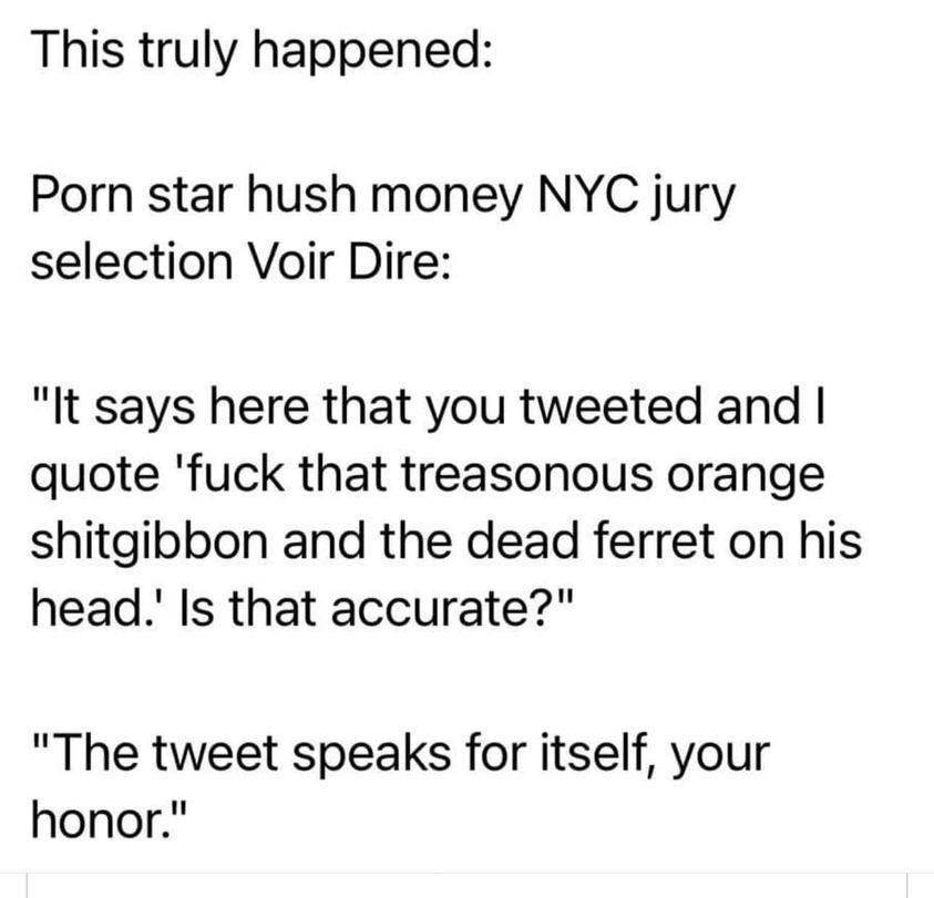 May be an image of ferret and text that says 'This truly happened: Porn star hush money NYC jury selection Voir Dire: "It says here that you tweeted and I quote 'fuck that treasonous orange shitgibbon and the dead ferret on his his head.' Is that accurate?" "The tweet speaks for itself, your honor."'
