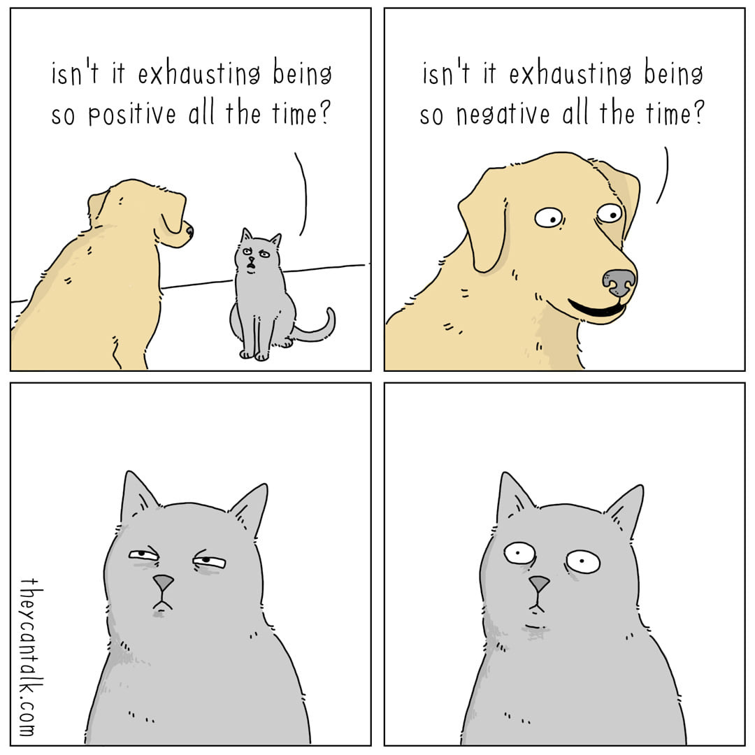 May be a cartoon of dog, cat and text that says 'isn't it exhausting being so positive all the time? isn't it exhausting being so negative all the time? alk. .Com'