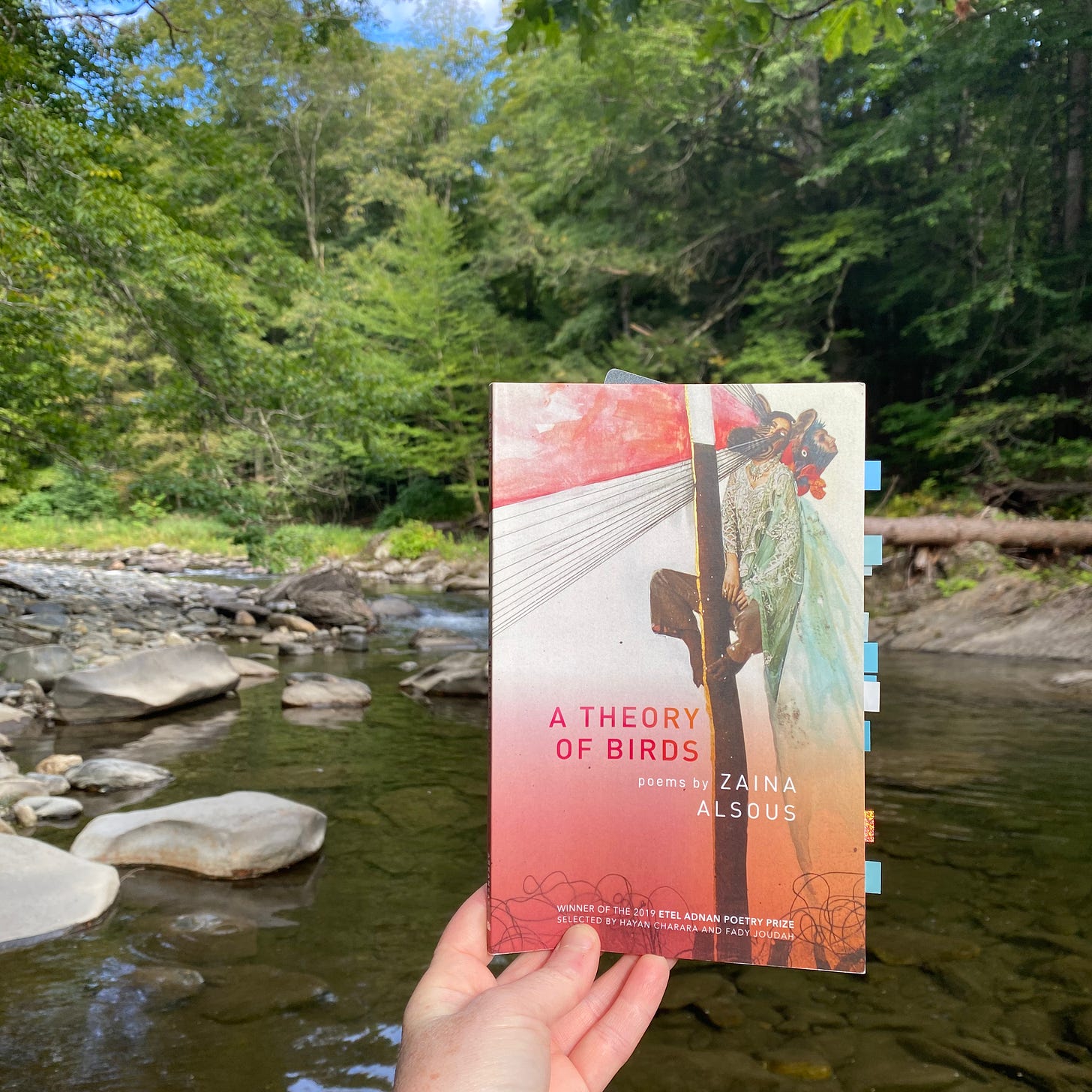 I’m holding this book up in front of a small rushing river.