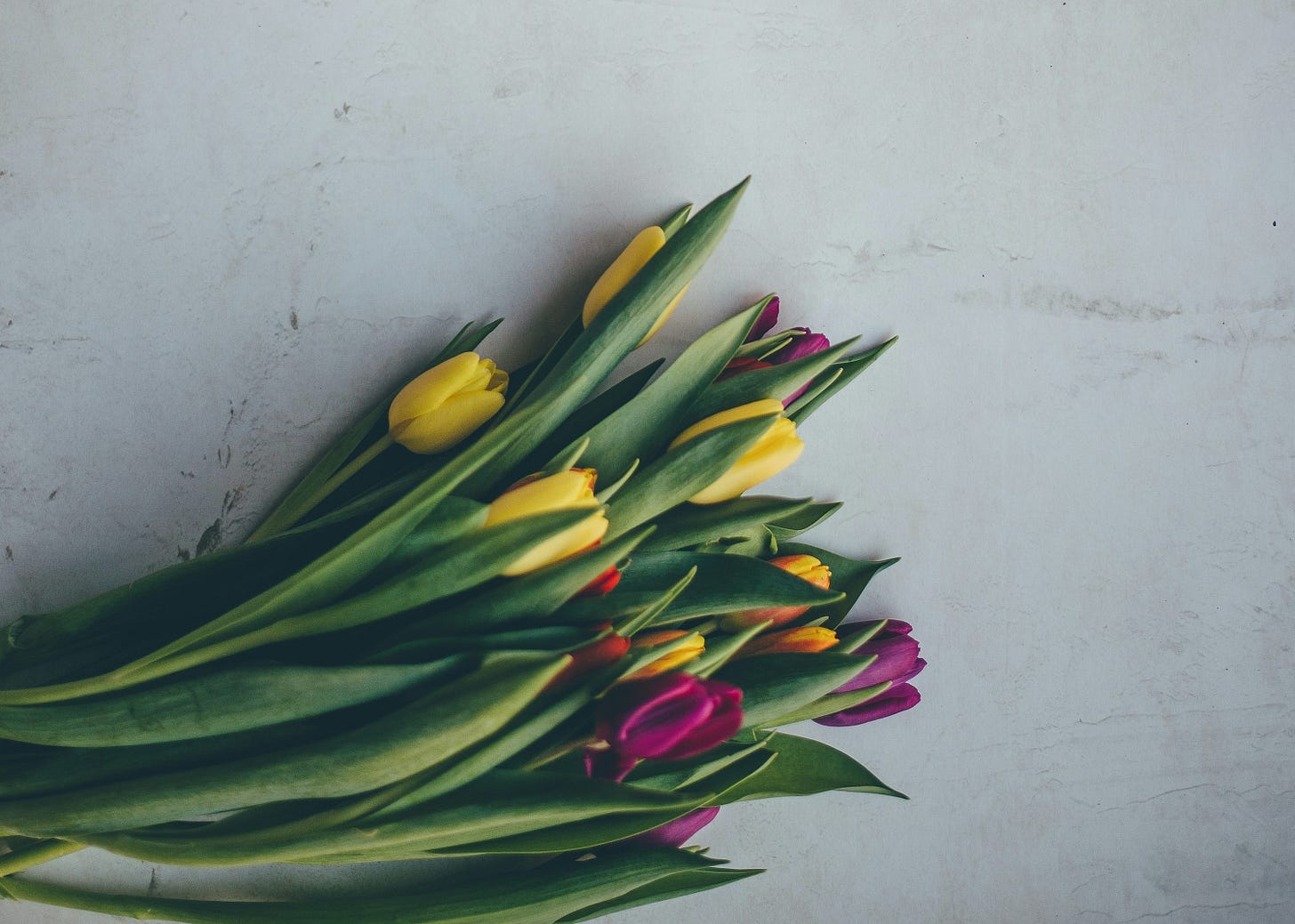 green, yellow, and purple flowers