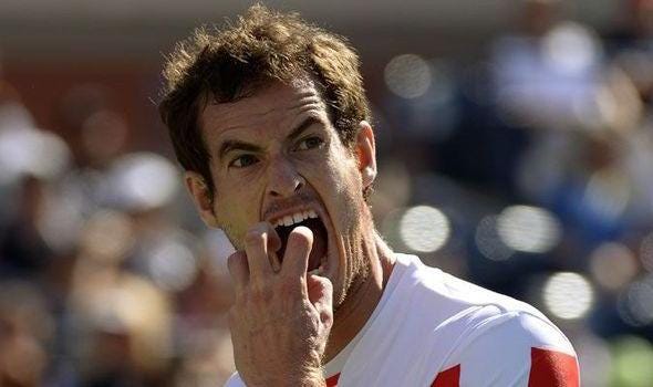 andy murray beats tomas berdych australian open 2015