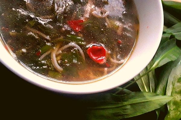 wild-herb-noodle-soup-foraging
