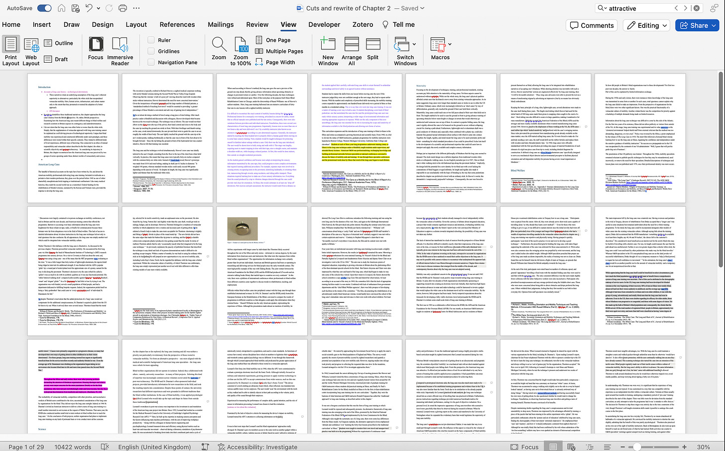 Screenshot of a Microsoft Word document, zoomed out to show 21 pages of text in black and purple text, a photograph of a metal glide tip, and a few sections highlighted in yellow and pink.