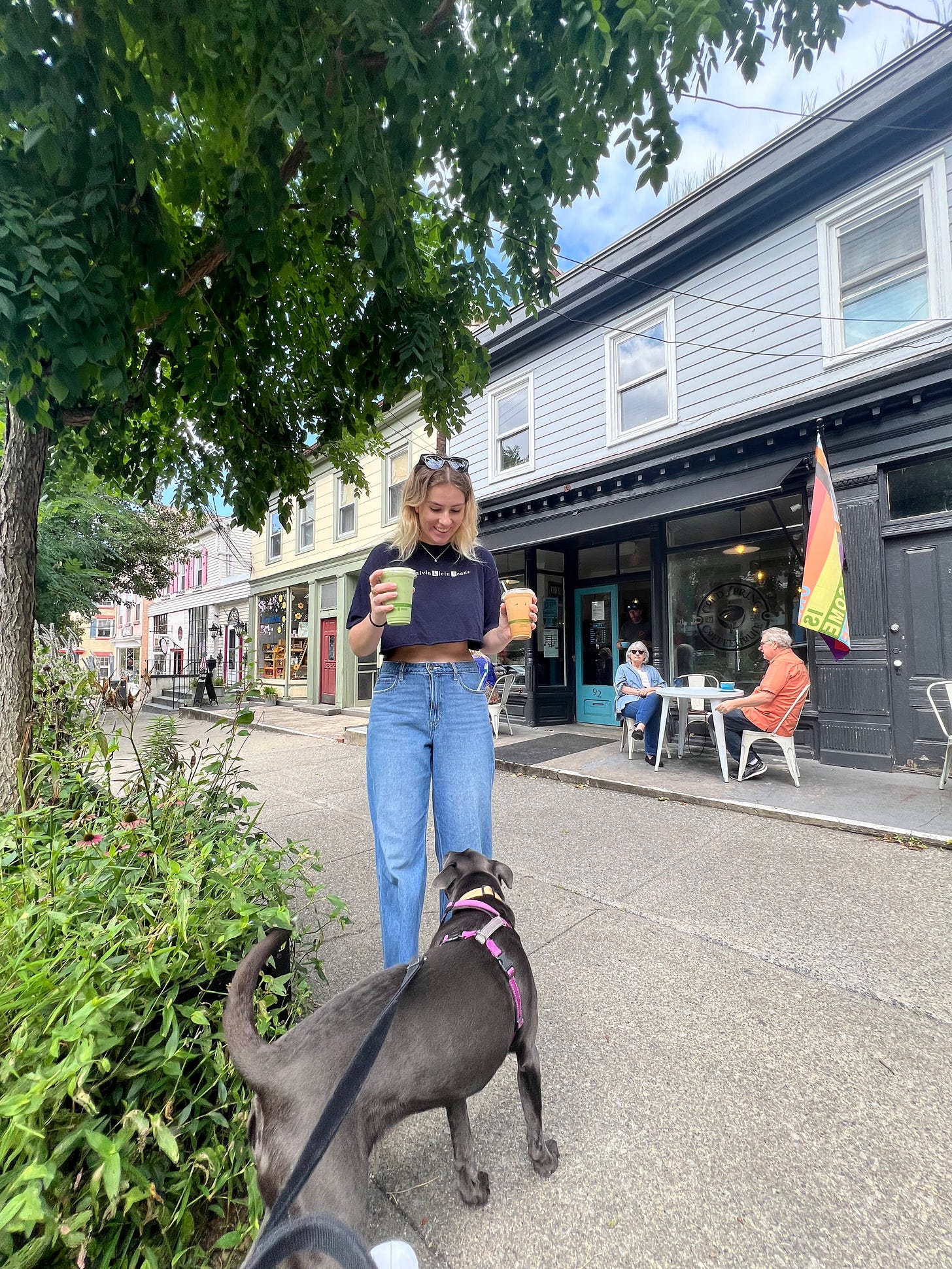 Cold Spring, New York Sydney on the Road