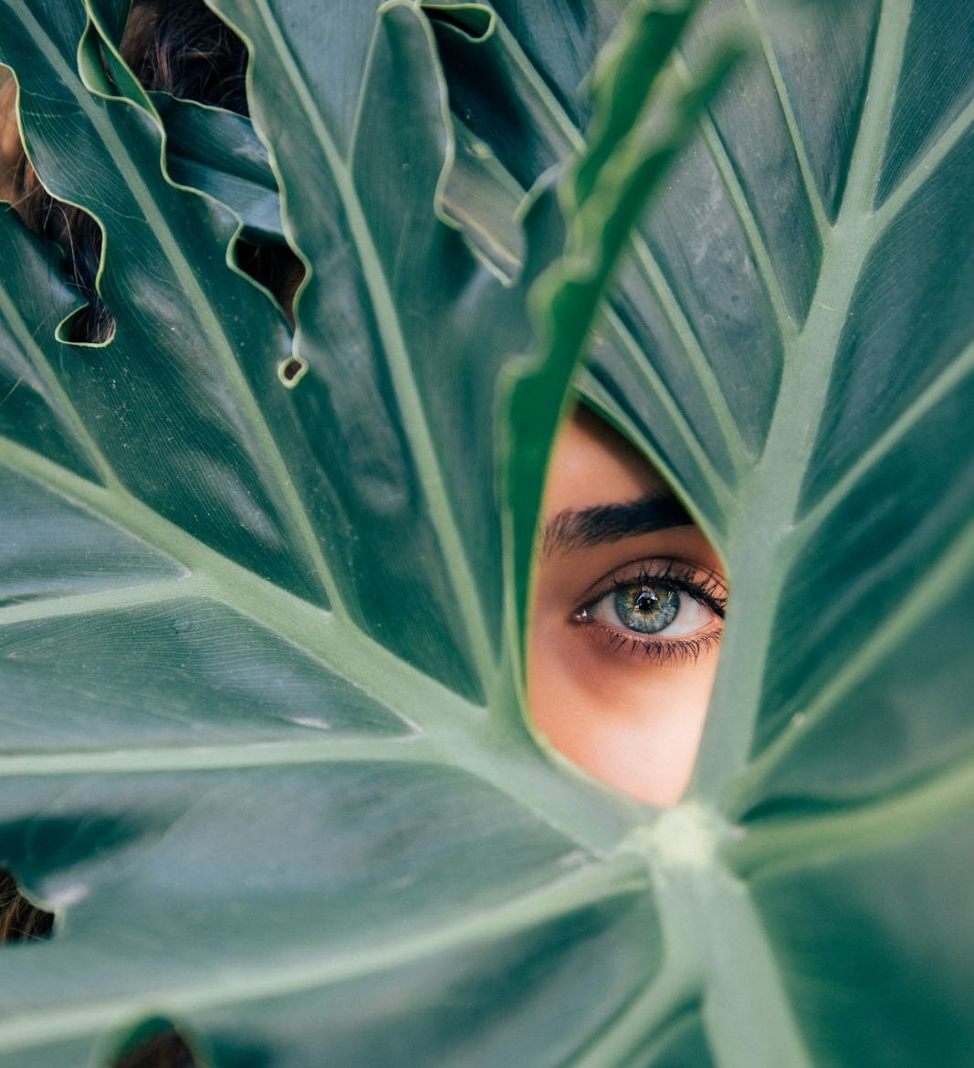 woman peeking over green leaf plant taken at daytime