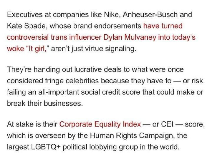 May be an image of text that says 'Executives at companies like Nike, Anheuser-Busch and Kate Spade, whose brand endorsements have turned controversial trans influencer Dylan Mulvaney into today's woke "It girl," aren't just virtue signaling. They're handing out lucrative deals to what were once considered fringe celebrities because they have to failing an all-important social credit score that could make or break their businesses. or risk At stake is their Corporate Equality Index or CEI score, which is overseen by the Human Rights Campaign, the largest LGBTQ+ political lobbying group in the world.'