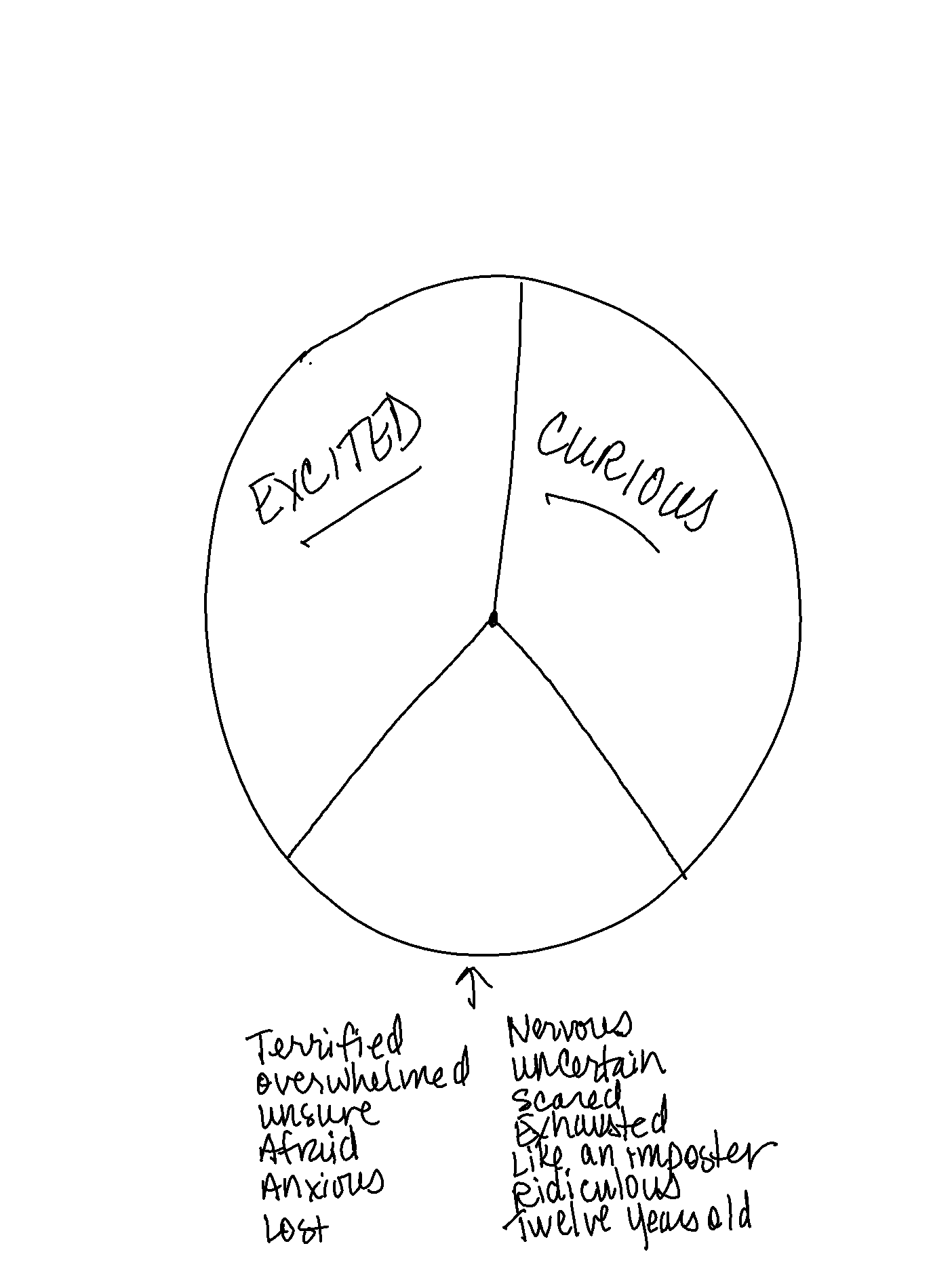 Hand drawing of a circle divided into 3 parts: 1) Excited 2) Curious, and 3) Overwhelmed/anxious/exhausted