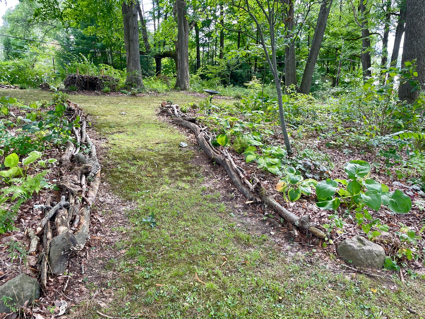 A path in the Woodland that connects the Moss Walk and the Lantern Walk is lined with larger branches. You can see the Nest at the top across the Moss Walk. 